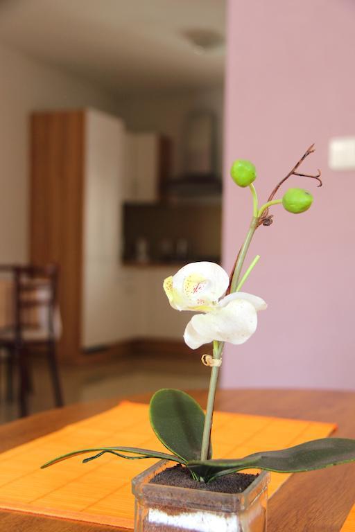 Vila Dravce Chambre photo